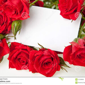 2TM-Bouquet de 12 roses + ferrero rocher (rouge-blanche-saumon-rose- jaune)