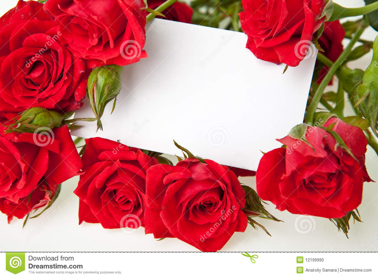 2TM-Bouquet de 12 roses + ferrero rocher (rouge-blanche-saumon-rose- jaune) – Image 2